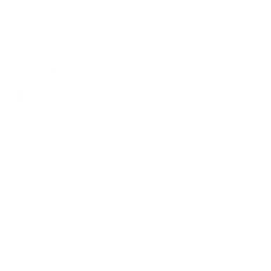 DCS Brasil Logo